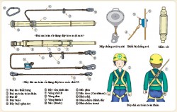 Hướng dẫn sử dụng dây an toàn